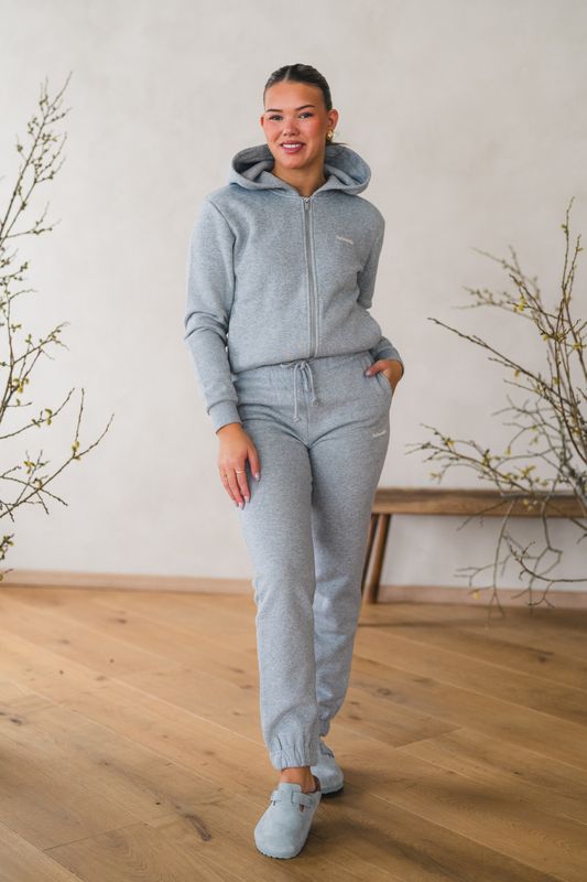 W Regular Zip Hoodie Grey Mix 