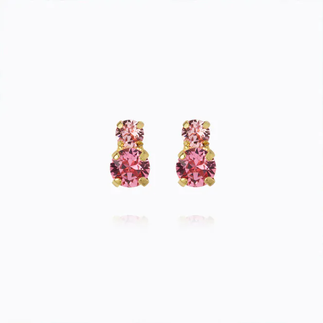 Hovedbilde Leah Earrings Gold Rose Combo 