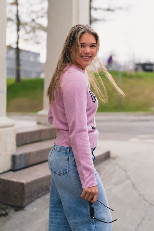 Graphic Wool Mix Poodle Crewneck Chalk Pink 