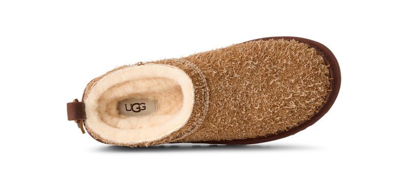 W Classic Micro Biarritz Chestnut 