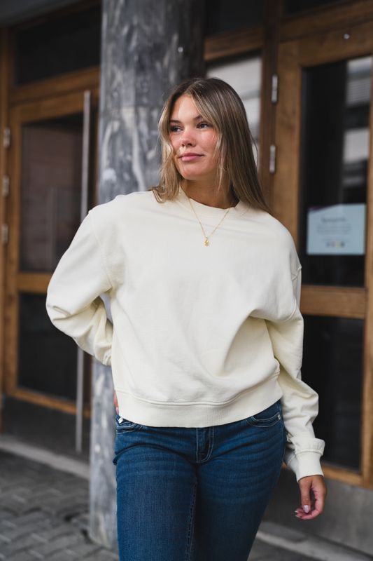 Savan Sweat 15697 Ethereal Green Pigment 