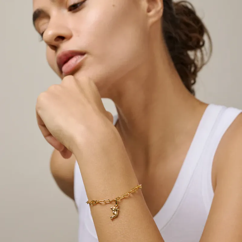Joyful Dolphin Charm Gold 