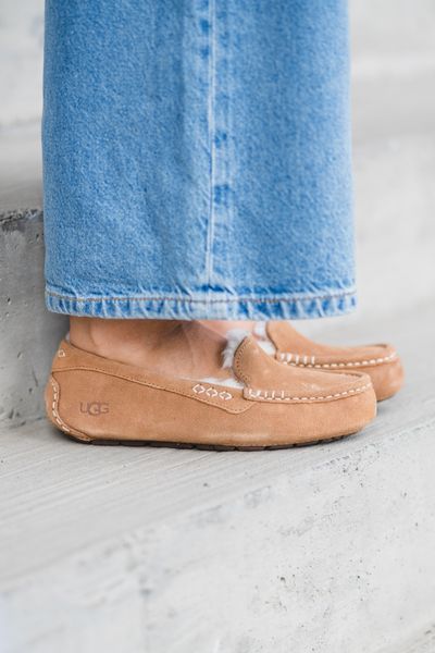 Hovedbilde W Ansley Chestnut