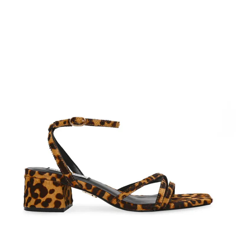 Gabby Leopard 