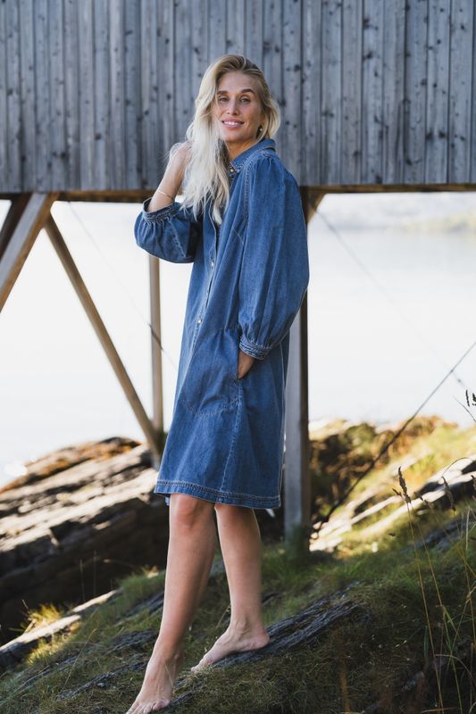 Eleinar Dress Medium Blue Denim 