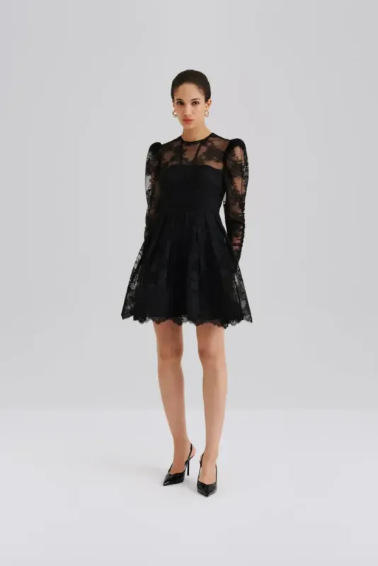 Leoni Lace Mini Dress Black 