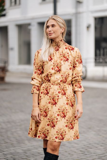 Hovedbilde Dream Dress Roses 