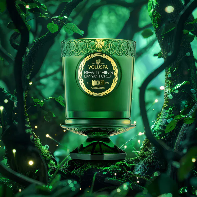 Boxed Candle Bewitching Banyan Forest