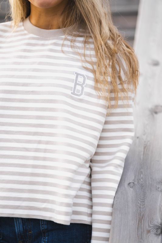 Gabby Sweatshirt Mist Stripe  