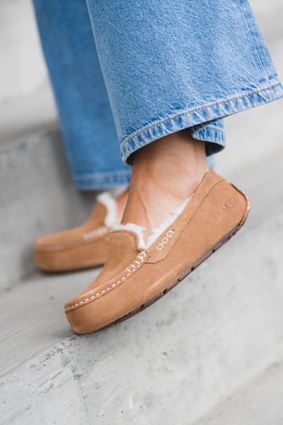 Hovedbilde W Ansley Chestnut