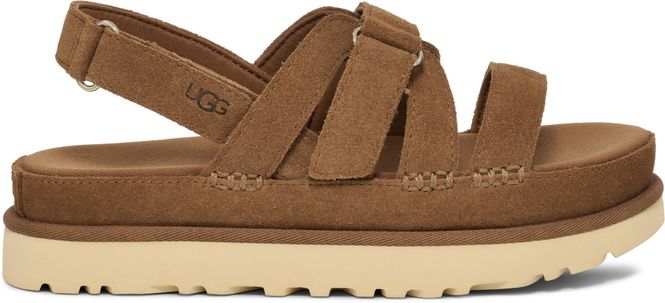 Hovedbilde W Goldenstar Gleam Chestnut 